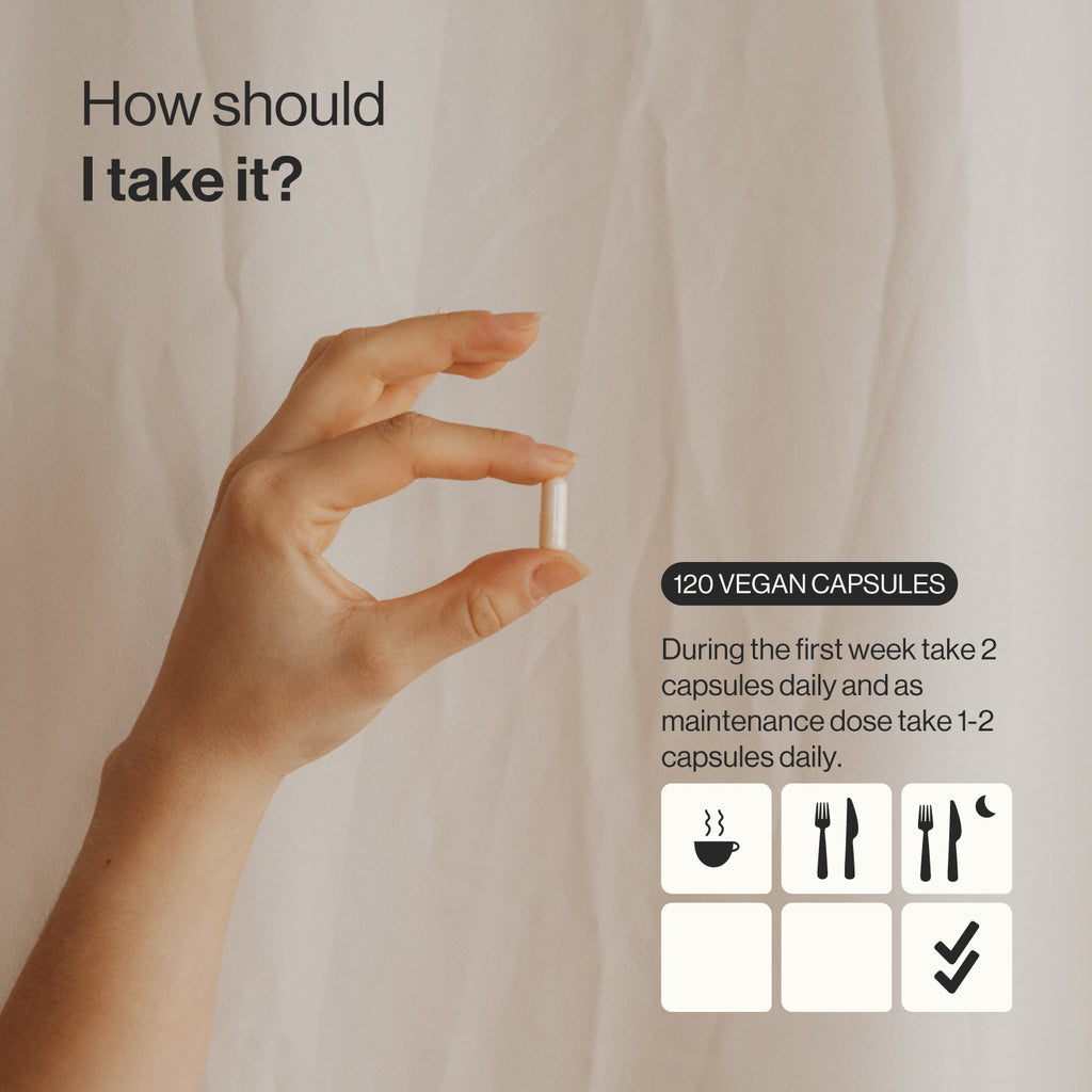 Premium Proactiflora 30 Strains | 80B CFU + Butirate, Inulin & Zinc