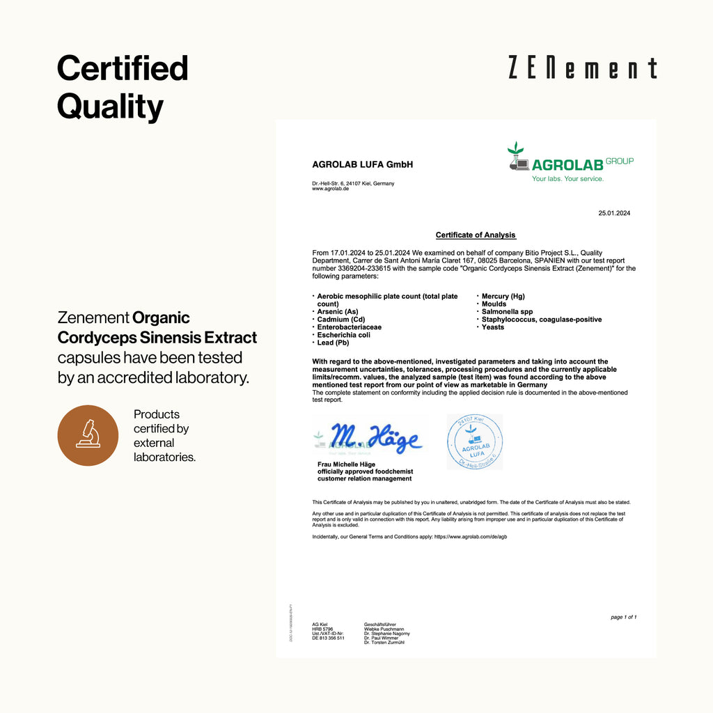 Extrait de Cordyceps sinensis Biologique 40% Polysaccharides